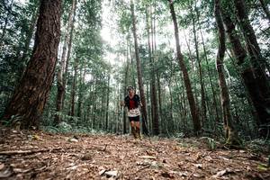 BIB: 
                            <button type="button" onclick="openModal(25261255)" class="btn btn-primary btn-sm float-right btn-popup" data-toggle="modal" data-target=".modal-high-quality">
                        <i class="fas fa-shopping-cart"></i> Add to Cart
                    </button>
                                            <button type="button" onclick="isThisMe(25261255, true)" class="btn btn-success btn-sm float-right btn-popup btn-isme hidden" data-toggle="tooltip" data-placement="bottom" title="นี่คือรูปของคุณใช่ไหม คลิกที่นี่เพื่อเอาเข้าอัลบั้ม">
                        <i class="fas fa-plus"></i> Add to album
                    </button>
                    <button type="button" onclick="isThisMe(25261255, false)" class="btn btn-warning btn-sm float-right btn-popup btn-isnotme hidden">
                        <i class="fas fa-ban"></i> Remove from album
                    </button>